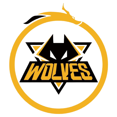 不仅令队友 不仅令队友