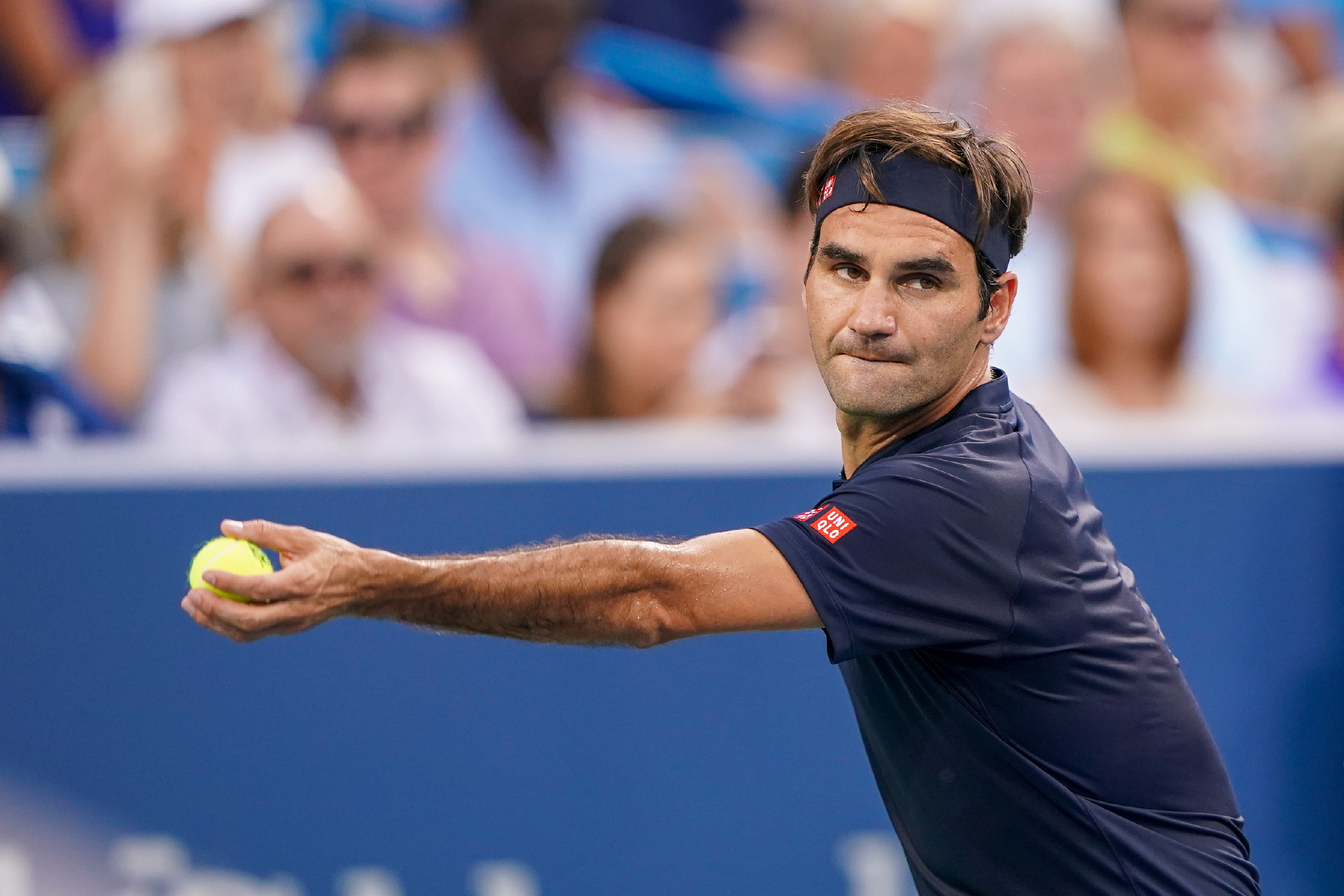 巩固了自己 巩固了自己