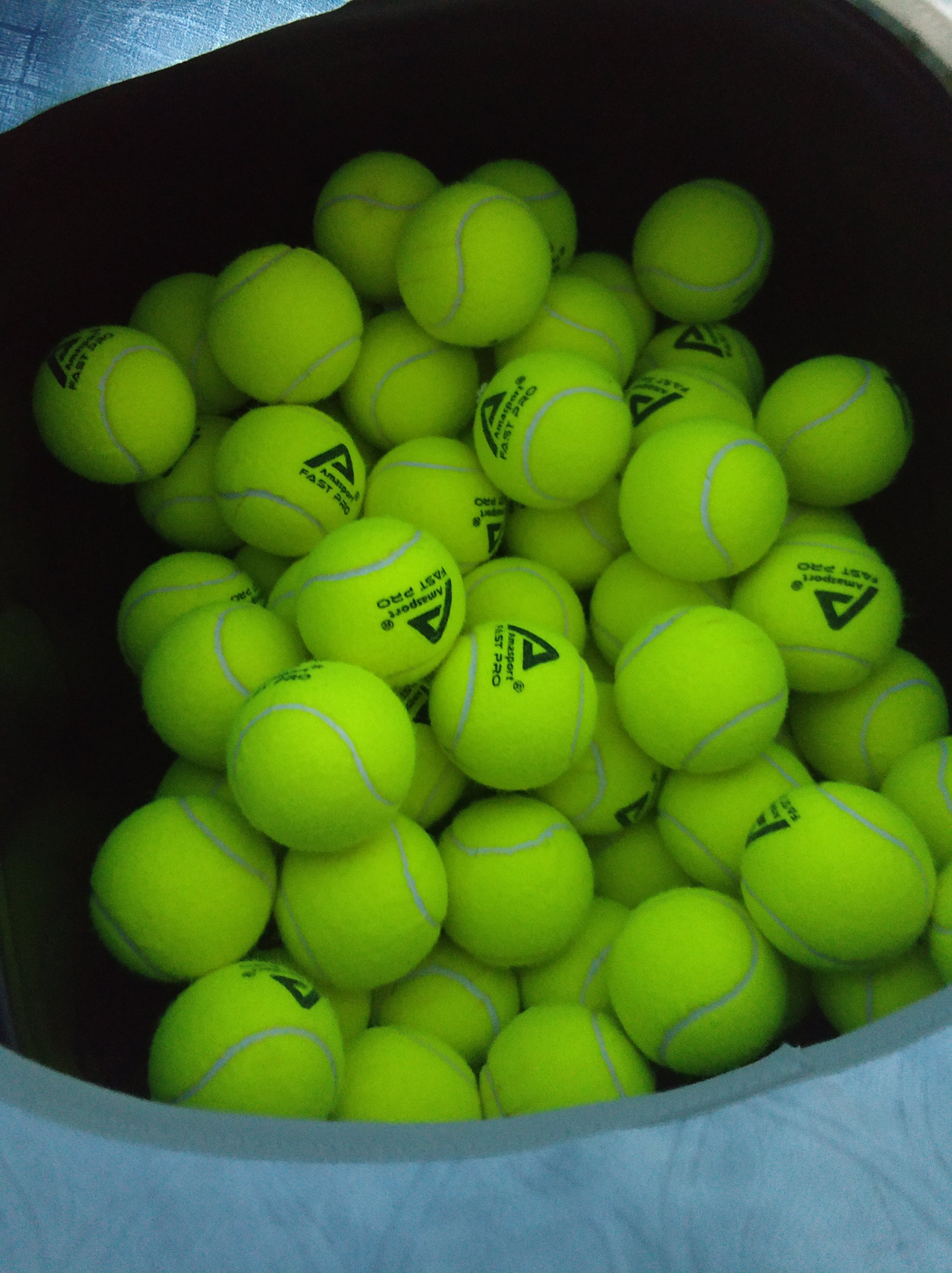 主场优势相 主场优势相